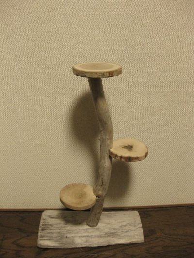 画像2: 流木ディスプレイ棚013