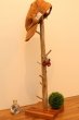 画像2: 流木アクセサリースタンド (2)
