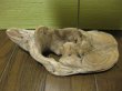 画像2: 流木フォトスタンド033 (2)
