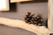 画像4: 流木フォトスタンド037 (4)