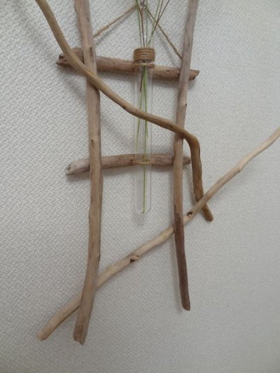 画像3: 流木葉瓶027