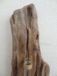 画像2: 流木葉瓶030 (2)
