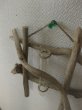 画像4: 流木葉瓶040 (4)