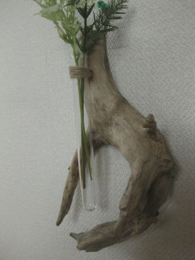 画像2: 流木葉瓶041
