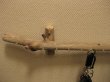 画像2: 流木キーハンガー074 (2)