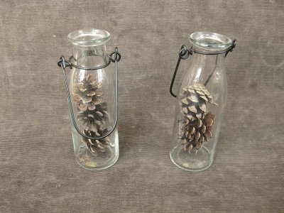 画像1: Bottle Pine Cone