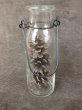 画像2: Bottle Pine Cone (2)