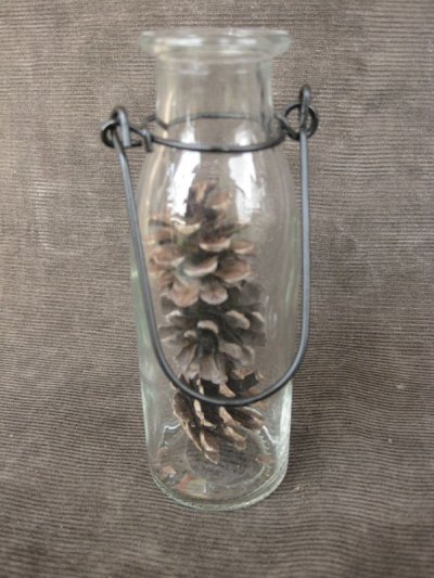 画像2: Bottle Pine Cone