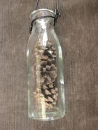 詳細写真3: Bottle Pine Cone