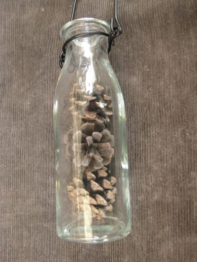 画像3: Bottle Pine Cone