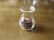 画像1: Bottle Pine Cone (1)
