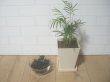 画像3: ヤシャブシの炭(20g) (3)