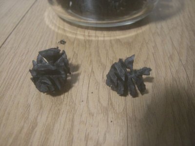 画像5: ヤシャブシの炭(20g)