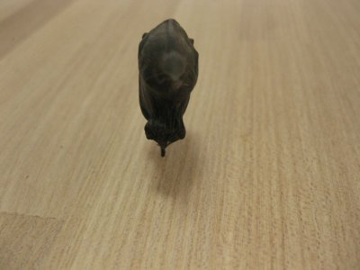 画像3: ヒシノミ １０個