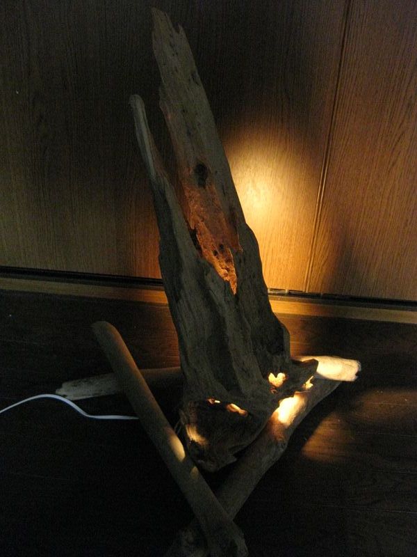 流木 ランプ